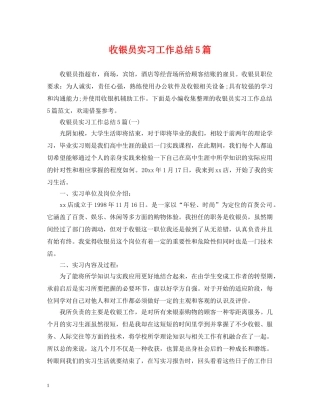 收银员实习工作总结5篇 