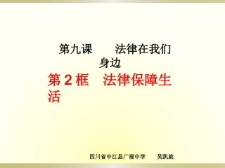 人教版《道德与法治》七年级下册92法律保障生活课件