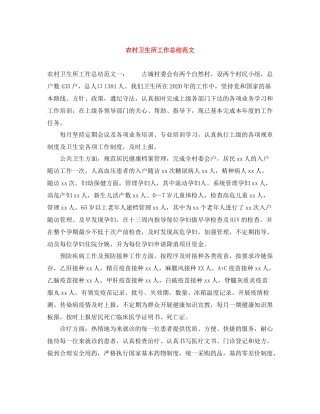 农村卫生所工作总结范文