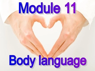 外研新七下MODULE_11_Unit_1_they_touch_noses