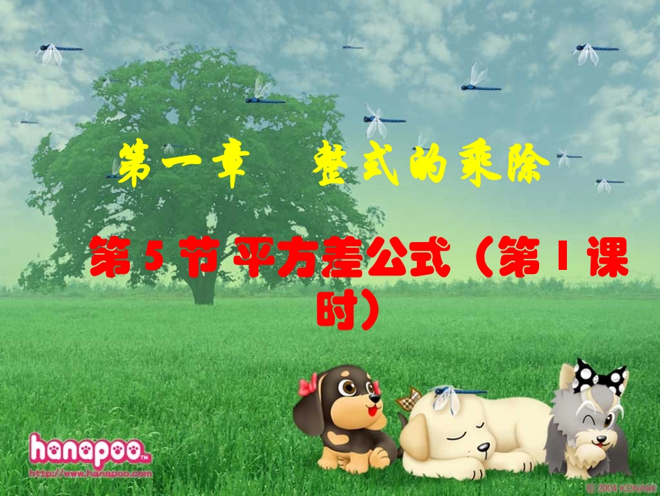 平方差公式（一） (2)_第2页