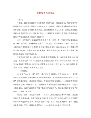 投资审计个人工作总结 
