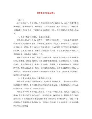 投资审计工作总结范文 