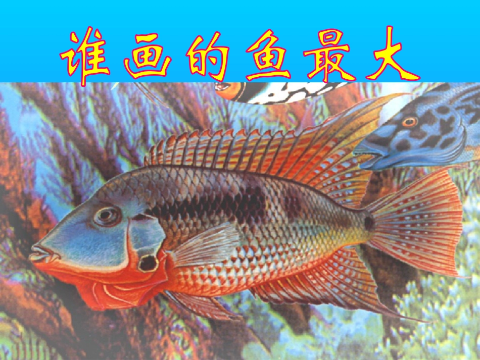 谁画的鱼最大_第2页