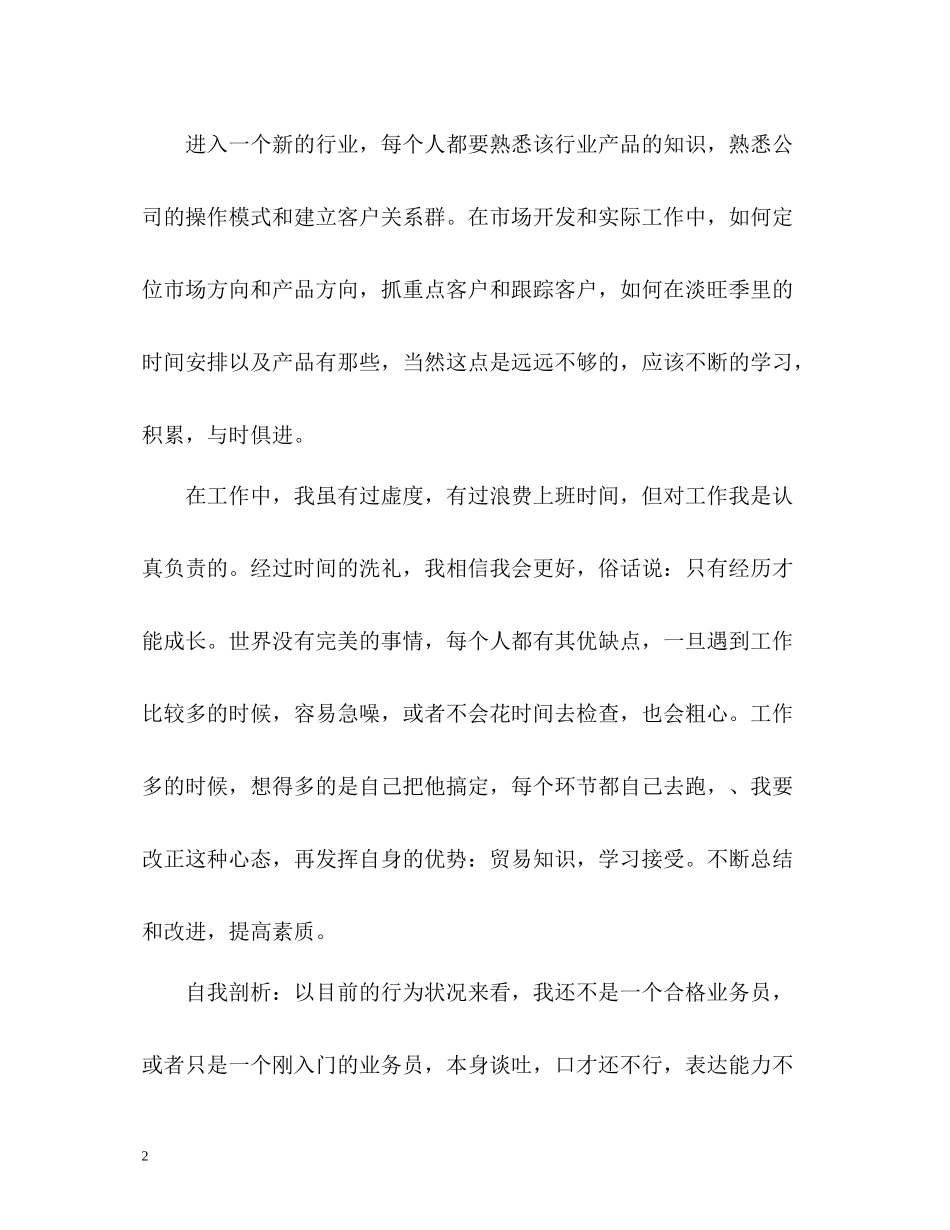 业务员年度工作总结报告_第2页