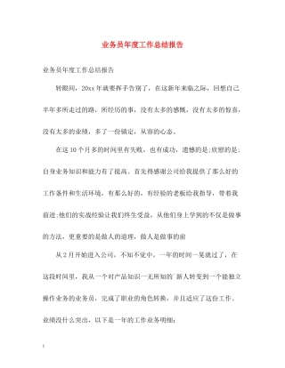 业务员年度工作总结报告