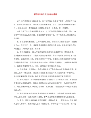 新导游年终个人工作总结模板
