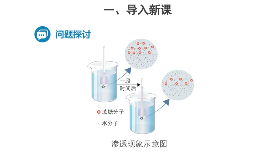 第1节被动运输_第2页