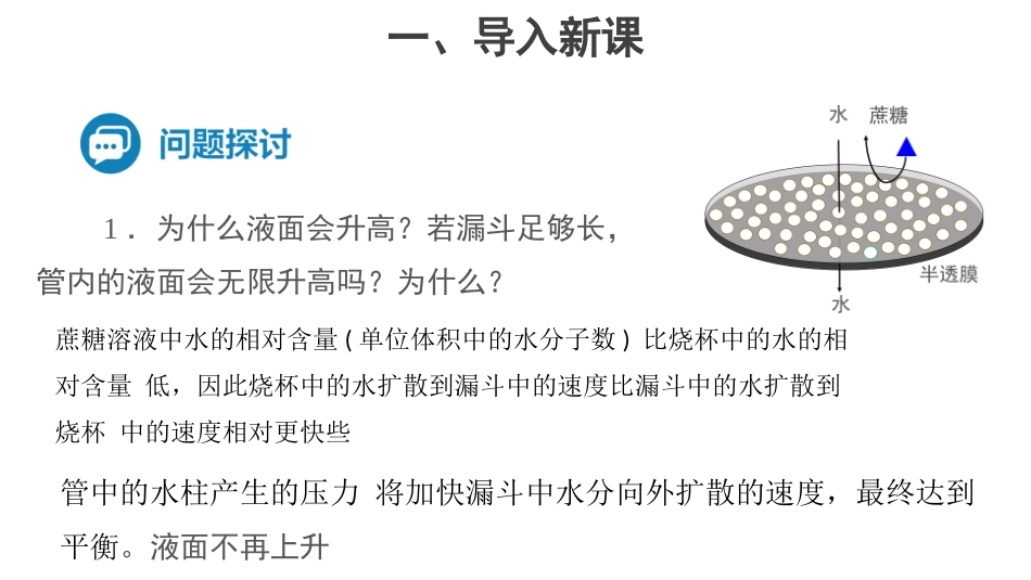 第1节被动运输_第3页