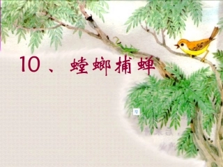 《螳螂捕蝉》PPT课件