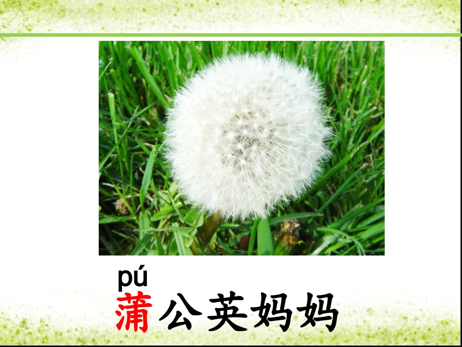 部编版1《植物妈妈有办法》课件_第2页