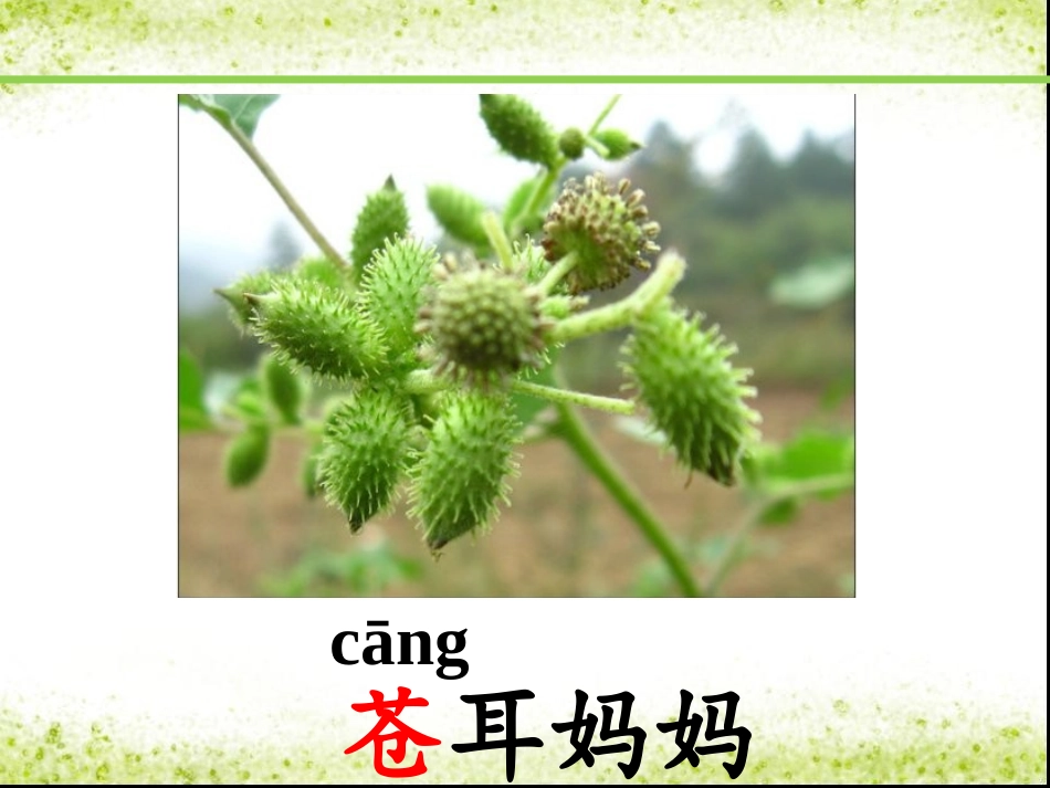 部编版1《植物妈妈有办法》课件_第3页