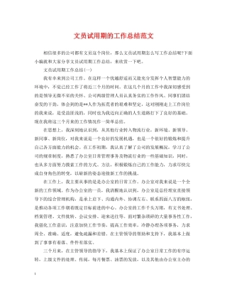 文员试用期的工作总结范文