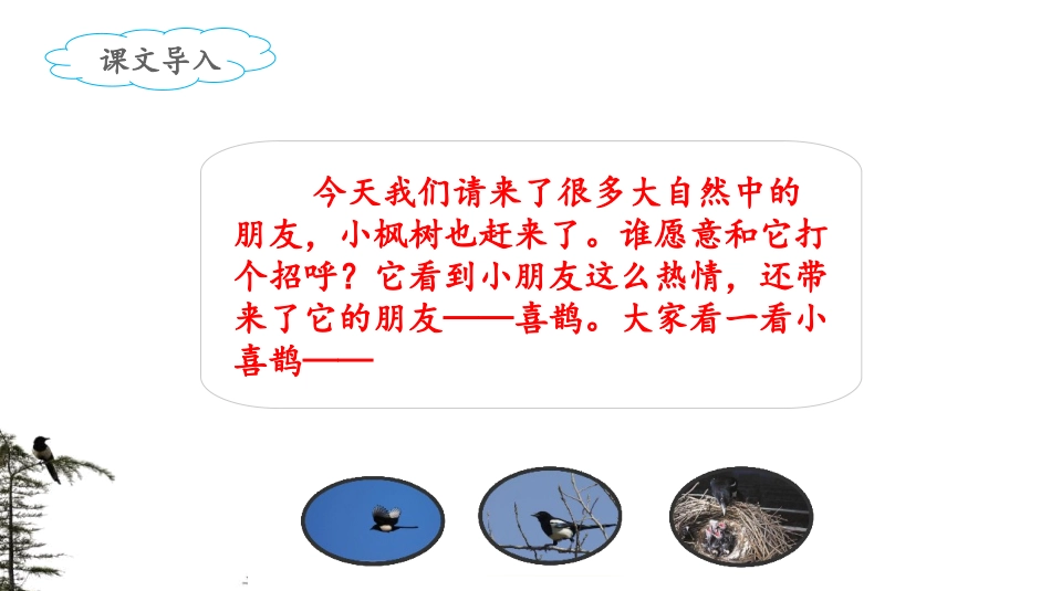 《枫树上的喜鹊》课件（第课时）_第2页