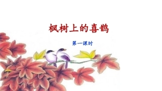 《枫树上的喜鹊》课件（第课时）