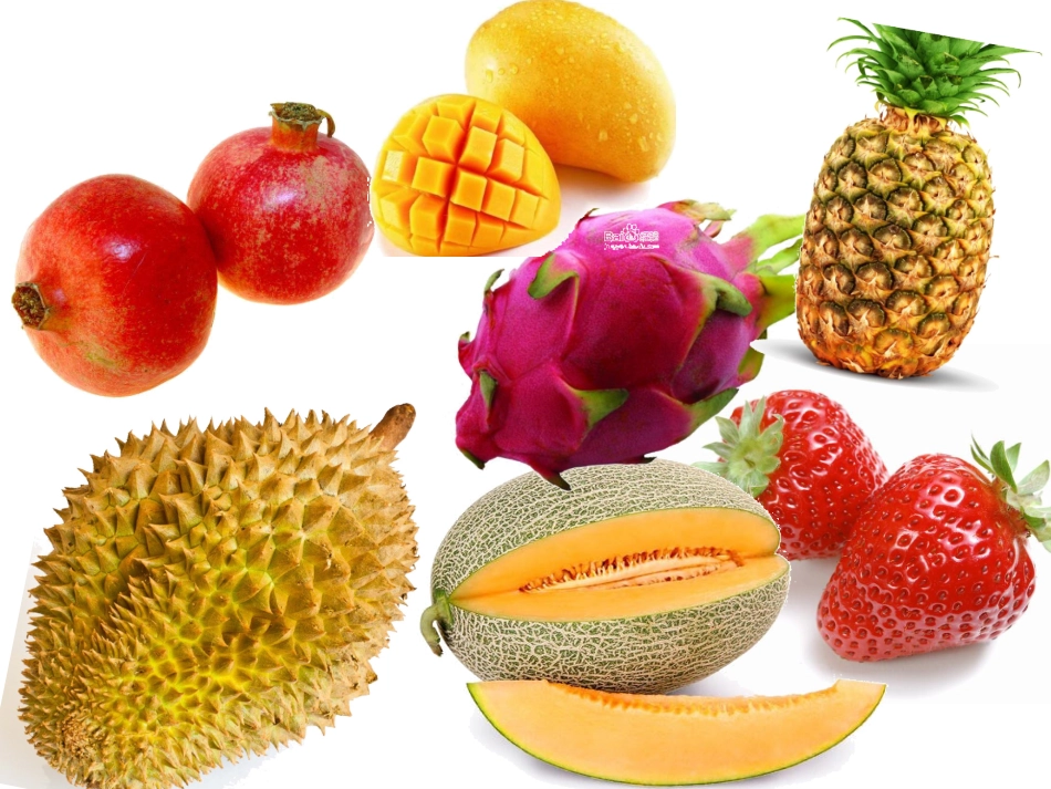 各种各样的水果_第3页