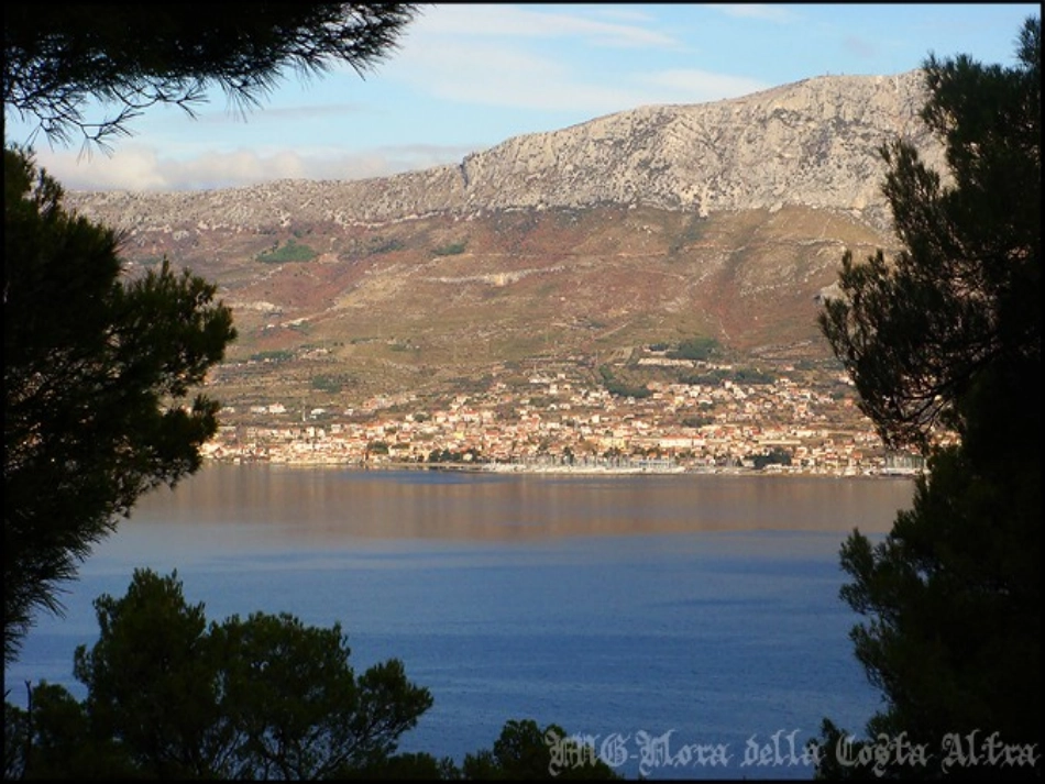 蓝色的雅特朗（修改完整版）_第3页