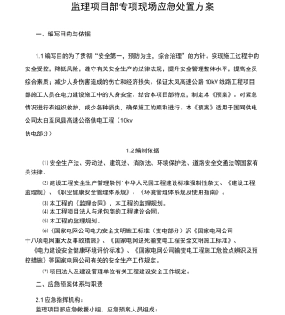 监理项目部专项现场应急处置方案