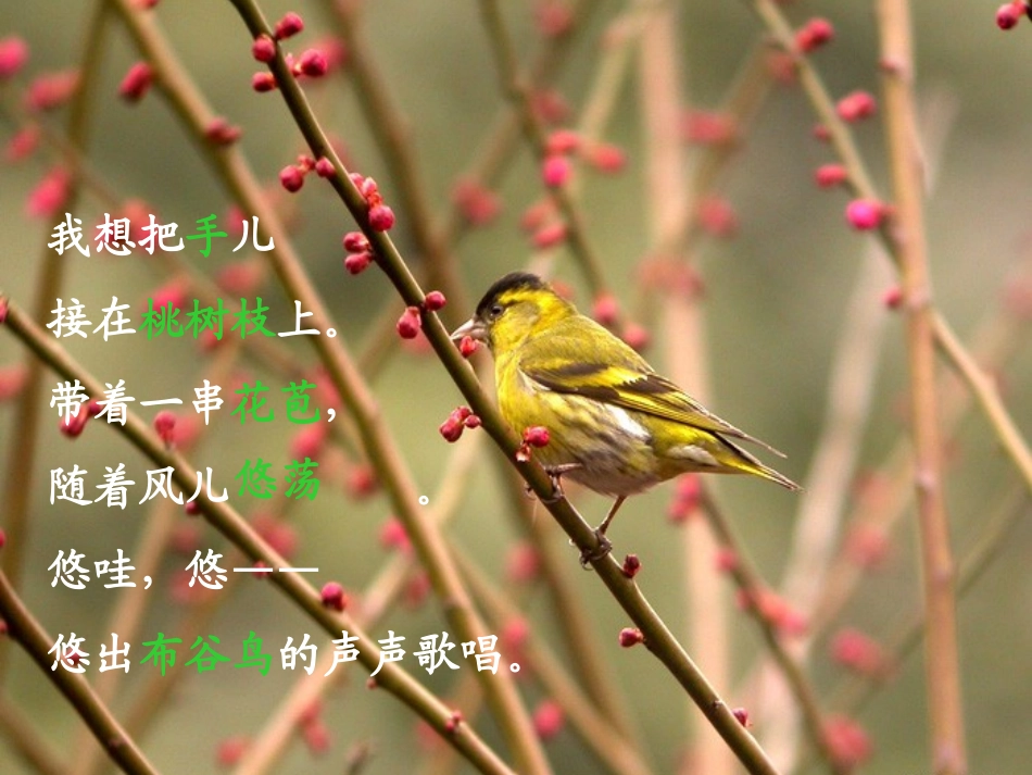 北师大语文教材《我想》PPT_第2页