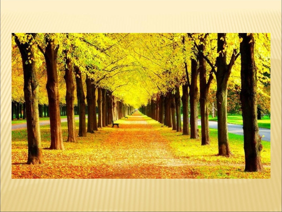 秋天的图画(2)_第2页