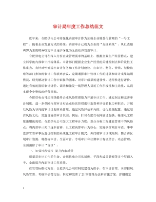 审计局年度工作总结范文22
