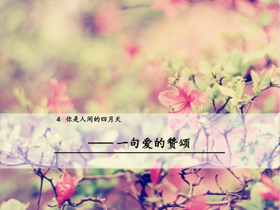 你是人间的四月天_第1页