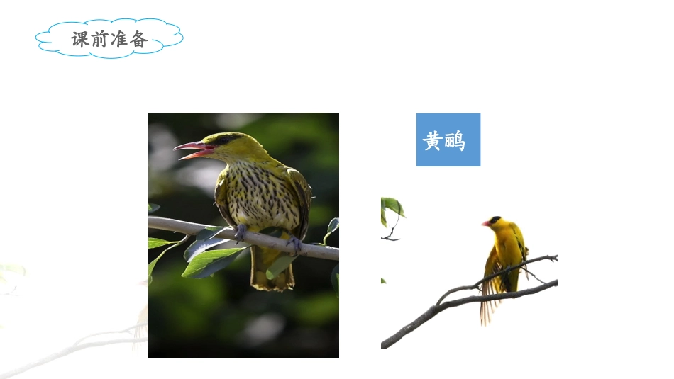 《绝句》课件_第2页