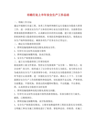 市路灯处上半年安全生产工作总结 