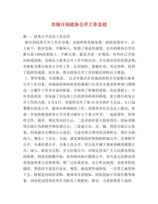 市统计局政务公开工作总结 