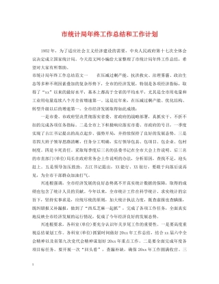 市统计局年终工作总结和工作计划 