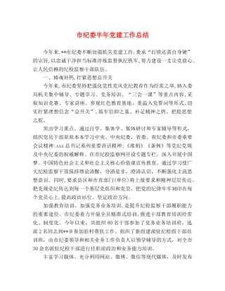 市纪委半年党建工作总结 
