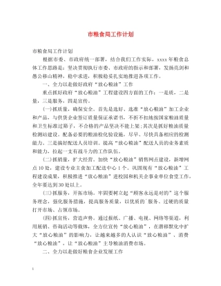 市粮食局工作计划 