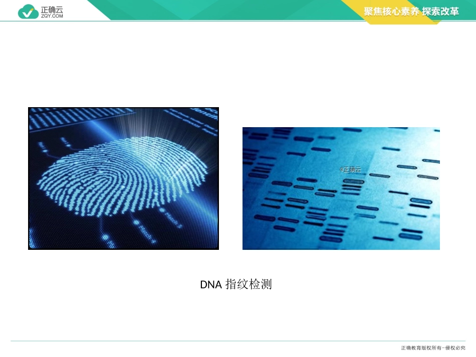 第2章组成细胞的分子25核酸是遗传信息的携带者_第2页