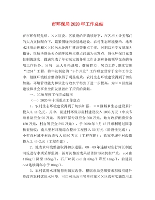 市环保局2020年工作总结 