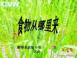 、食物从哪里来
