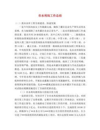 市水利局工作总结 
