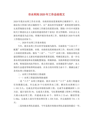 市水利局2020年工作总结范文 