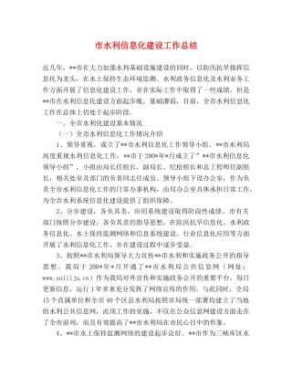 市水利信息化建设工作总结 