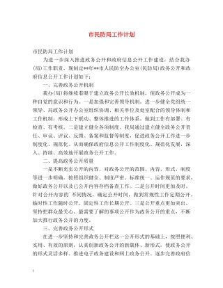 市民防局工作计划 