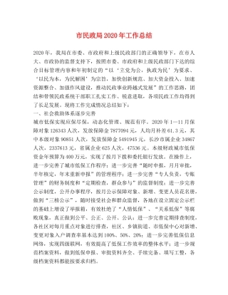 市民政局2020年工作总结 
