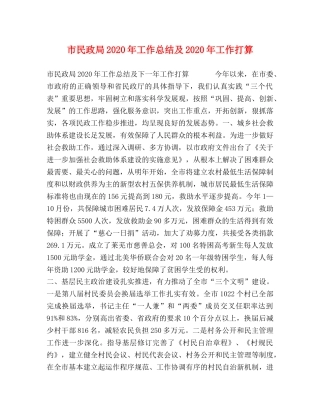 市民政局2020年工作总结及2020年工作打算 