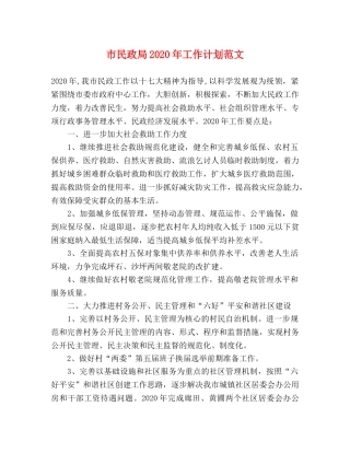 市民政局2020年工作计划范文 