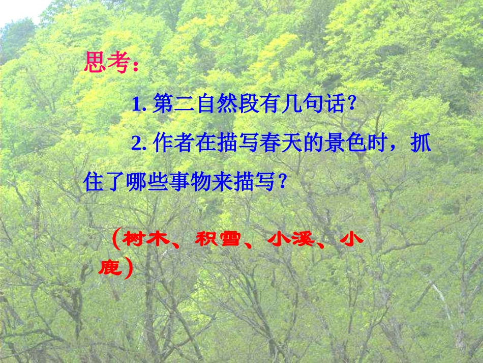 《美丽的小兴安岭》PPT (2)_第3页