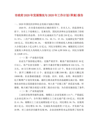 市政府2020年发展情况与2020年工作计划(草案)报告 