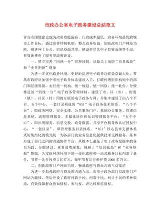 市政办公室电子政务建设总结范文 
