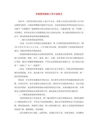 市招管局招标工作计划范文 