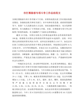 市打黑除恶专项斗争工作总结范文 