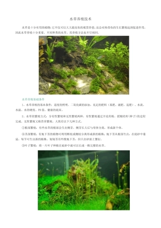 水草养殖技术
