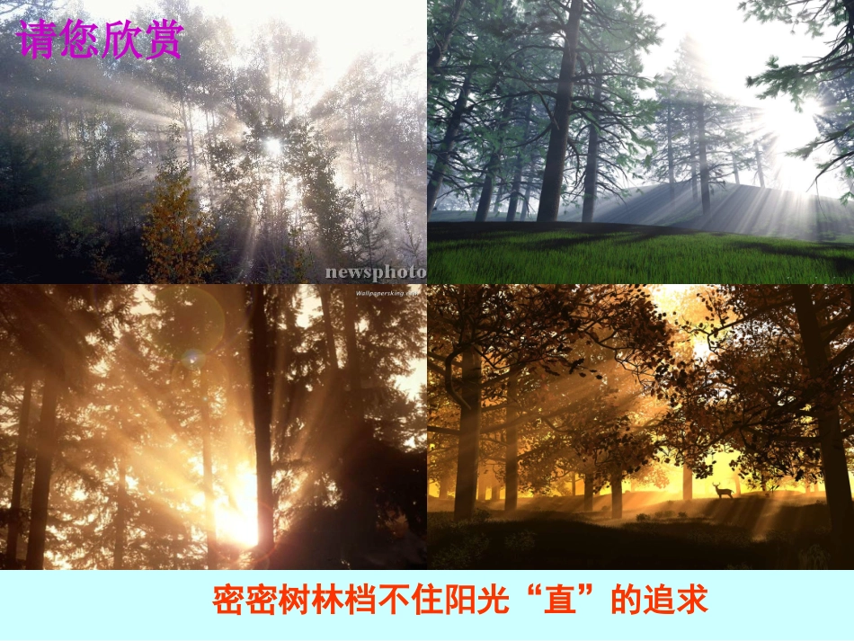 光源,光的传播_第1页