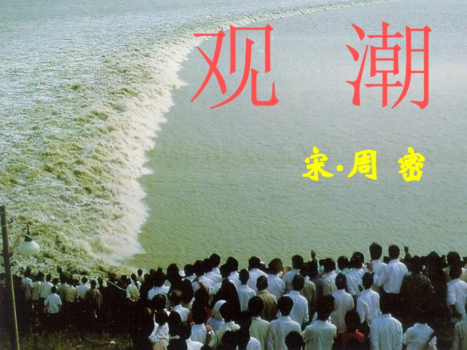 八年级上册《观潮》PPT_第1页